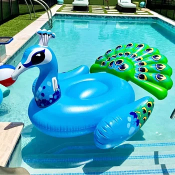 Gonflable piscine Paon XXL
